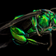 Illustration for article titled Close-Up Bee Portraits Are A Glimpse Into A Gorgeously Weird World